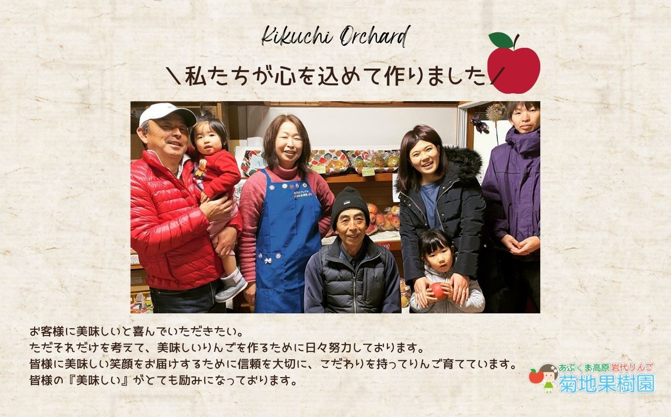 昔ながらの美味しい梅干し4個セット 梅干し 漬物 手作り 梅 人気 うめぼし 家庭用 セット しそ梅 おすすめ お中元 お歳暮 ギフト 二本松市 ふくしま 福島県 送料無料【菊地合名会社】