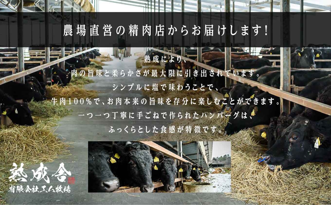 二本松熟成牛 塩で食べる！手ごねハンバーグ 900g（150g×6袋） 国産 牛肉 ひき肉 ミンチ 小分け お取り寄せ グルメ 使いたい分 ハンバーグ 肉汁 生ハンバーグ おすすめ お中元 お歳暮 ギフト 二本松市 ふくしま 福島県 送料無料【有限会社エム牧場】