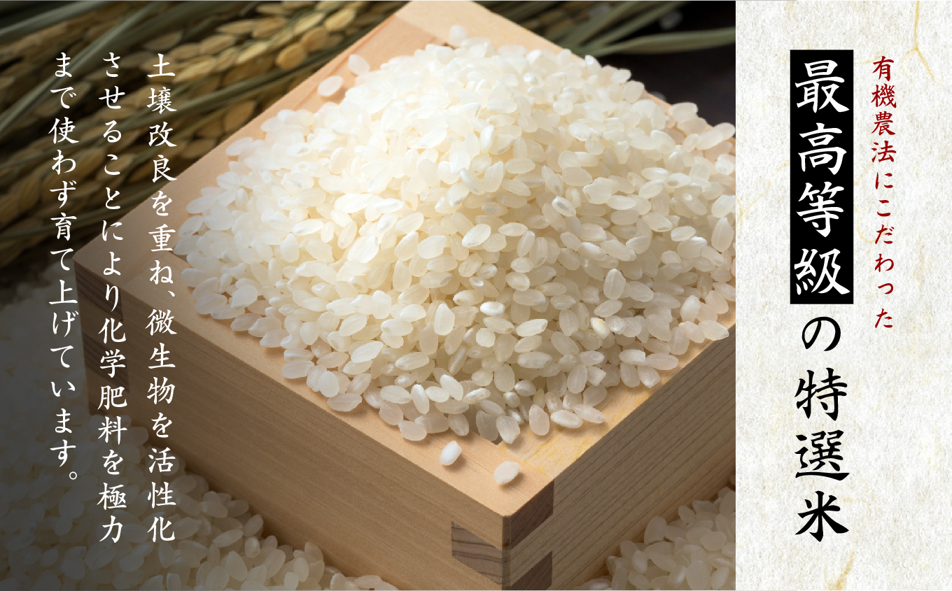 令和7年産 コシヒカリ 二本松十万石米 〜特選〜 精米300g×7袋 米 コシヒカリ こしひかり 令和7年度産 白米 ふっくら 甘い 人気 ランキング おすすめ ギフト 故郷 ふるさと 納税 福島 ふくしま 二本松市 送料無料【株式会社Y&Tカンパニー】