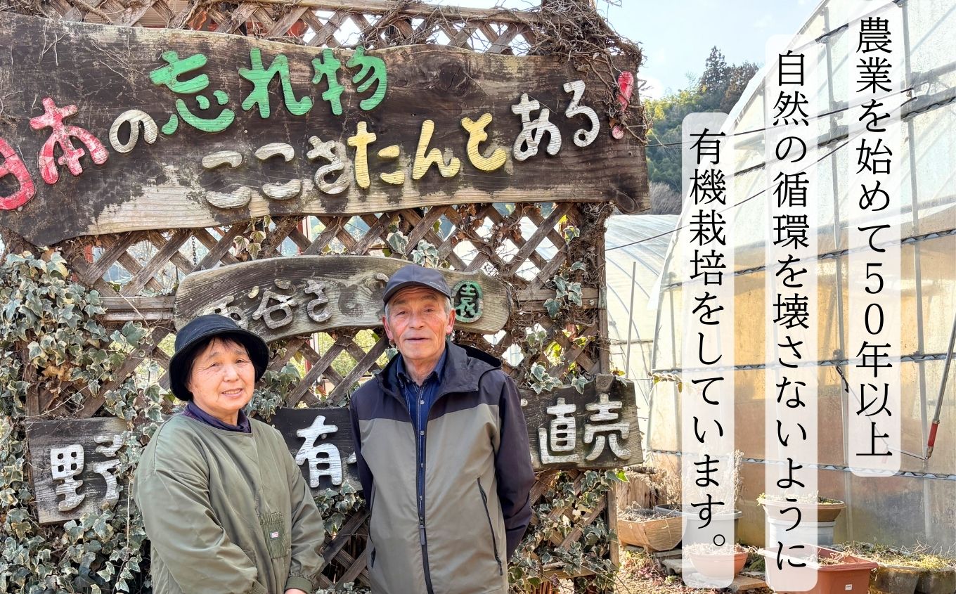 《2027年1月中旬より順次発送》寒ちぢみほうれん草2kg ホウレンソウ 炒め物 おひたし 胡麻和え 野菜 ヤサイ 新鮮 産地直送 新鮮野菜 白和え おすすめ お中元 お歳暮 ギフト 二本松市 ふくしま 福島県 送料無料【西谷さとう農園】