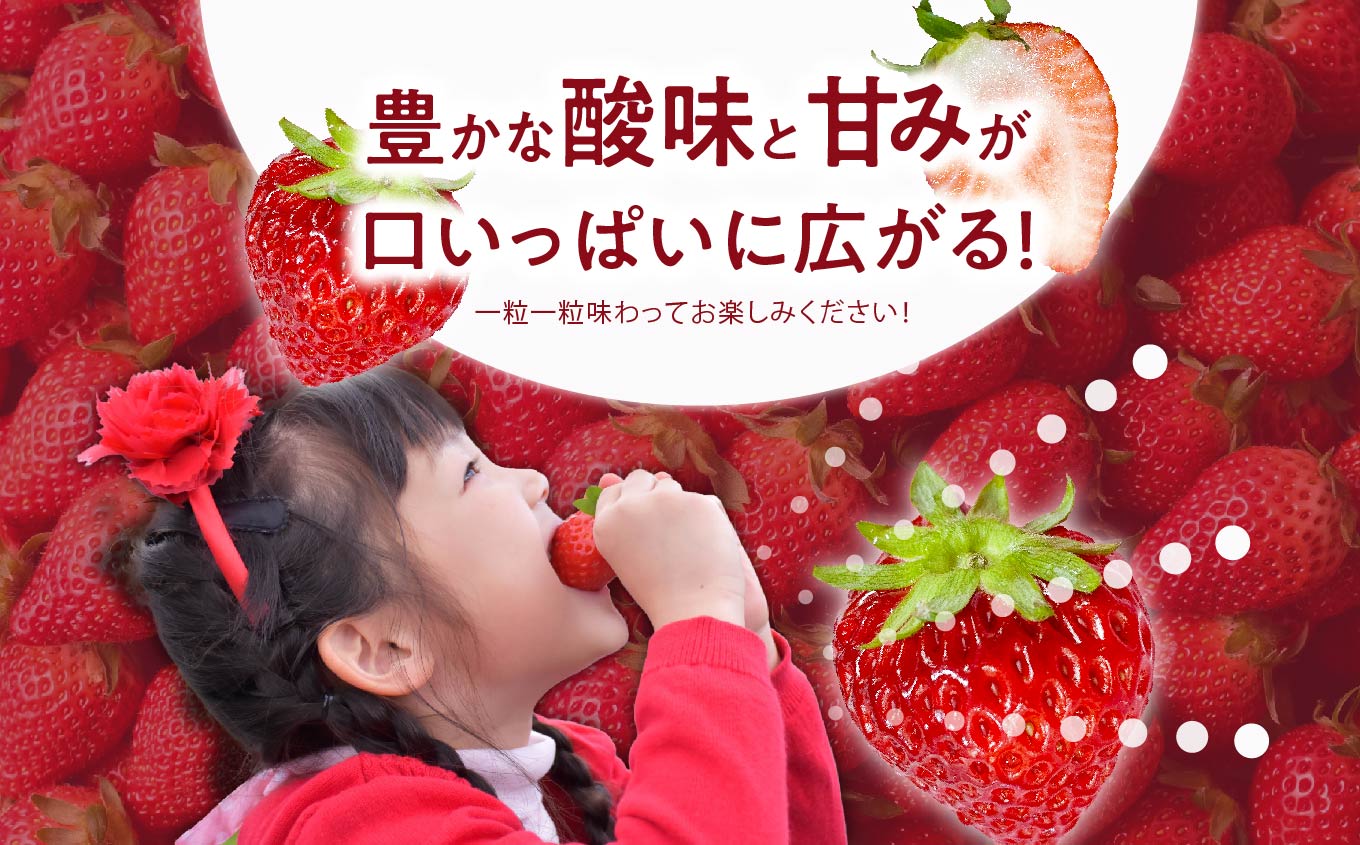 《2026年1月3日～5月23日開園》いちご狩りペア入場チケットいちご狩りペア入場チケット いちご ストロベリー いちご狩り 苺 イチゴ フルーツ 果物 おすすめ お中元 お歳暮 ギフト 二本松市 ふくしま 福島県 送料無料【まるなかファーム株式会社】