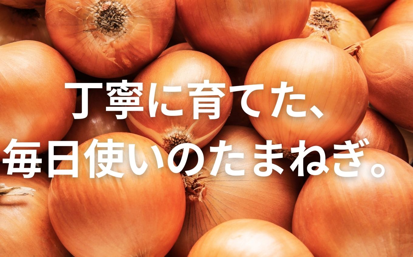 ã2026幎8æäžæ¬ããé æ¬¡çºéãææ©ããŸãã10kg ããŸãã çãã ã¿ããã® éè é£å ããã æ¬ æ°é®® ç£å°çŽé ãããã ãäžå
ãæ³æ® ã®ãã äºæ¬æŸåž ãµãã㟠çŠå³¶ç éæç¡æã西谷ããšã蟲åã