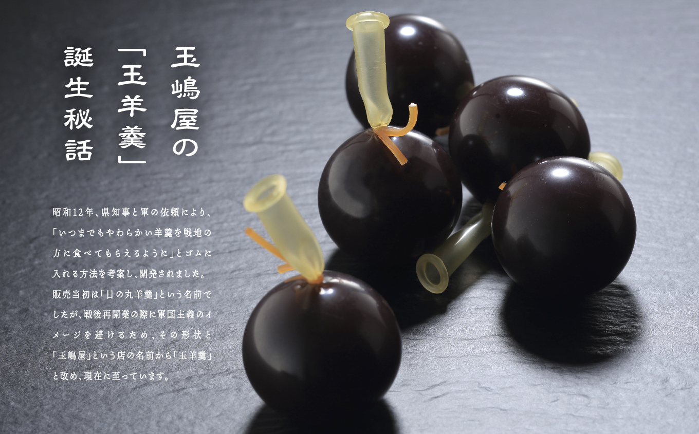 二本松の名物 銘菓《玉嶋屋の玉羊羹》20個入り 羊羹 ようかん 玉羊羹 銘菓 玉嶋屋 和菓子 餡子 あんこ おすすめ お中元 お歳暮 ギフト 二本松市 ふくしま 福島県 送料無料【株式会社玉嶋屋】