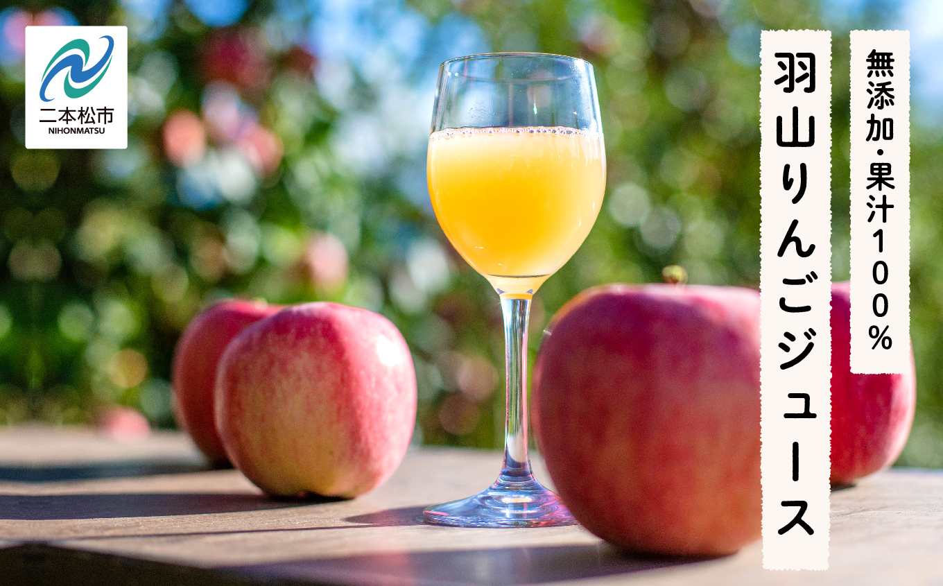 《2026年2月以降順次発送》羽山りんごジュース 無添加 果汁100%（ふじ） 1000ml 6本セット りんごジュース りんご リンゴ 人気 ランキング おすすめ ギフト 故郷 ふるさと 納税 福島 ふくしま 二本松市 送料無料【斎藤りんご園】