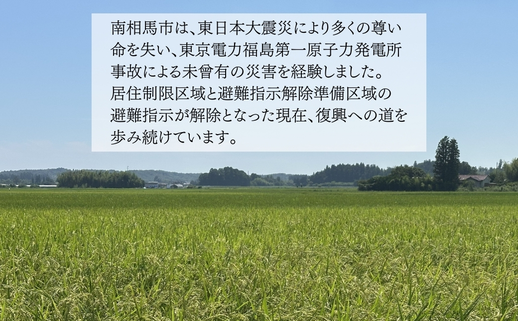 【ワイン】 3本セット シャルドネ2023 (白) ＋ ブラッククイーン×マスカット・ベリーA2022 ＋ マスカット・ベリー×ブラッククイーン2023(赤スパークリング) | 赤ワイン 白ワイン 国産【110076-002-08】