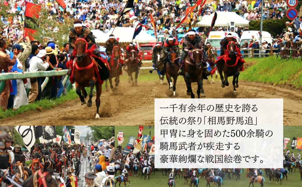 繝ッ繧、繝ウ 3譛ャ繧サ繝繝 繧キ繝」繝ォ繝峨ロ2023 (逋ス) シ 逕イ譁舌ヮ繝ッ繝シ繝ォ2023 シ 繝槭せ繧ォ繝繝医サ繝吶Μ繝シテ励ヶ繝ゥ繝繧ッ繧ッ繧、繝シ繝ウ2023(襍、繧ケ繝代シ繧ッ繝ェ繝ウ繧ー)縲110076-002-06縲