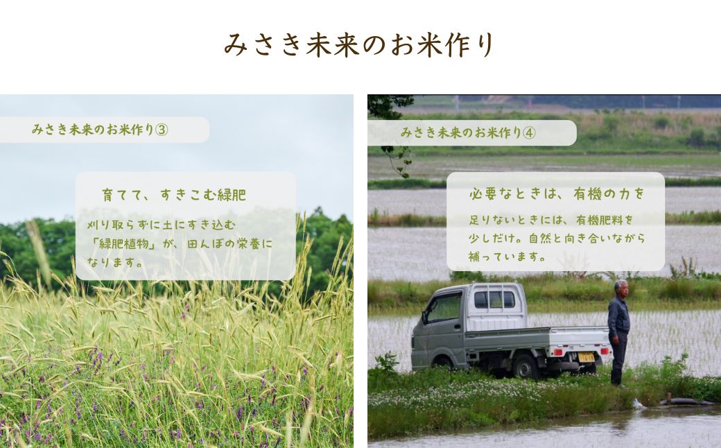 縲仙ョ壽悄萓ソ縲台サ、蜥7蟷エ逕」 譁ー邀ウ 繧ウ繧キ繝偵き繝ェ 邇邀ウ 30kg ( 5kg テ6蝗) | 辟。霎イ阮ャ 霎イ阮ャ荳堺スソ逕ィ 蛹門ュヲ閧・譁吩ク堺スソ逕ィ 邇邀ウ 縺顔アウ 邀ウ 縺薙a 繧ウ繝。 遖丞ウカ逕」 遖丞ウカ逵檎肇 蜊礼嶌鬥ャ 縺ソ縺輔″譛ェ譚・