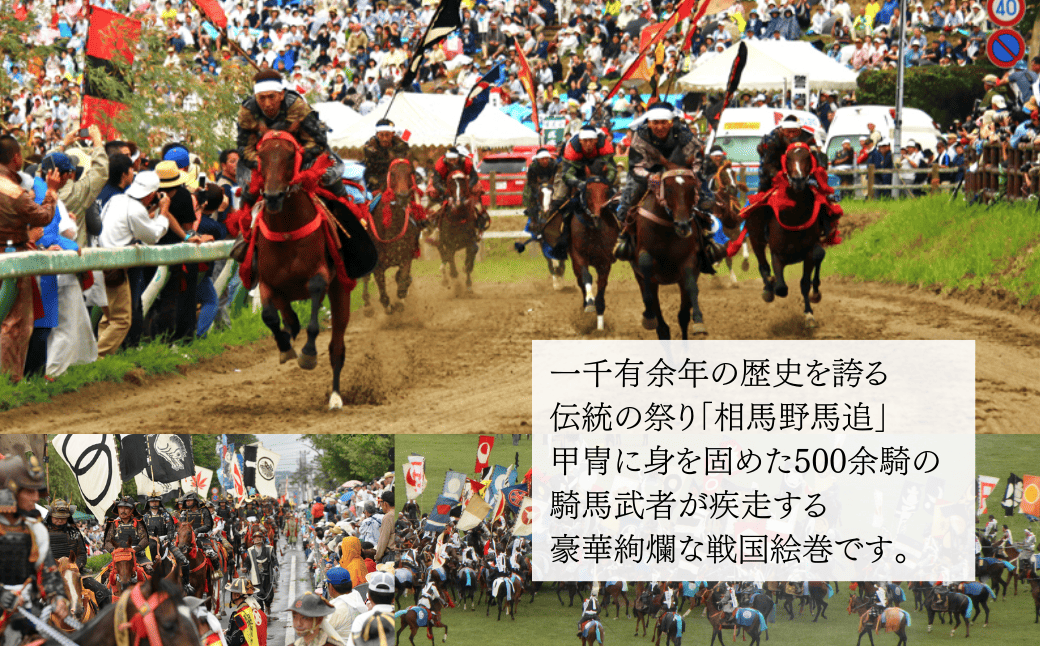 【定期便】 JAS有機米 ミルキークイーン 白米 50kg ( 5kg ×10月) 令和7年産 新米 | JAS 有機米 精米 白米 玄米 コメ ブランド米 50キロ 10回 福島 福島県産 渡部有機農園