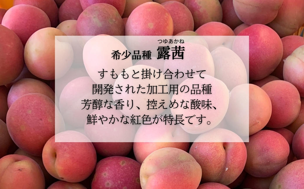 梅農園ジャム 800g (100g×8個)【120587-001-03】