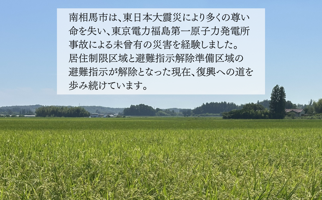JAS有機米 ミルキークイーン 玄米 5kg 令和7年産 | JAS 有機米 コメ 米 こめ ブランド米 銘柄 福島 福島県産 渡部有機農園