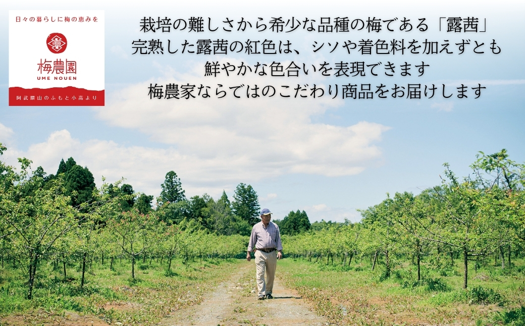 梅農園ドリンク 塩分プラス 1.8L (180ml×10本) 贈答用化粧箱入り【120587-002-04】