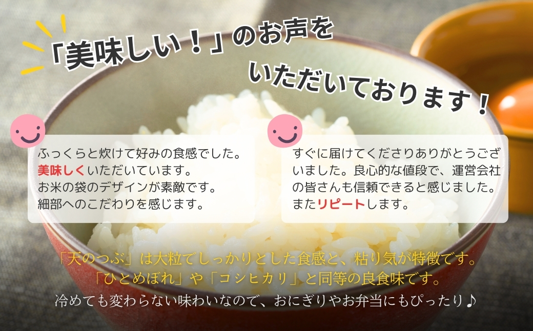 福島県南相馬産「天のつぶ」ふっくらパックごはん150g×24パックライス【0400301】