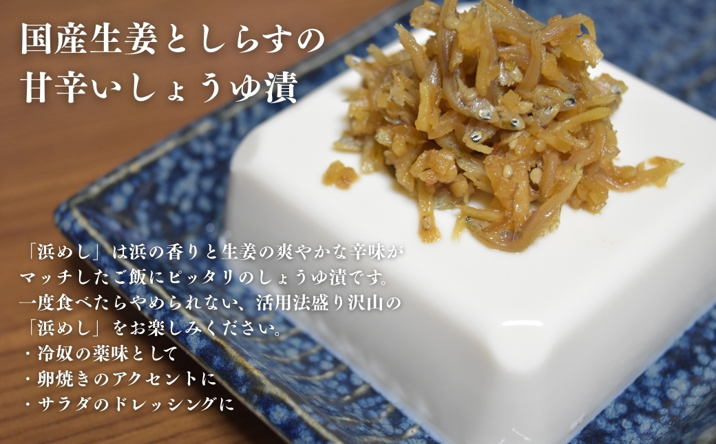 浜めししらす生姜 600g(120g×5袋) | 漬物 詰め合わせ ギフト 贈り物 贈答品 おつまみ おかず 香の蔵
