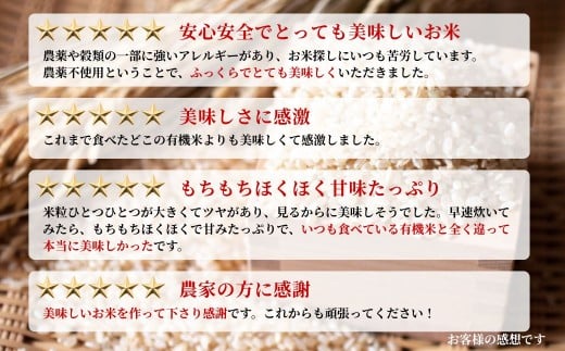 JAS有機米 コシヒカリ 玄米 10kg 令和7年産 | JAS 有機米 コメ ブランド米 低温貯蔵庫 福島県産 根本有機農園【53870-001-12】