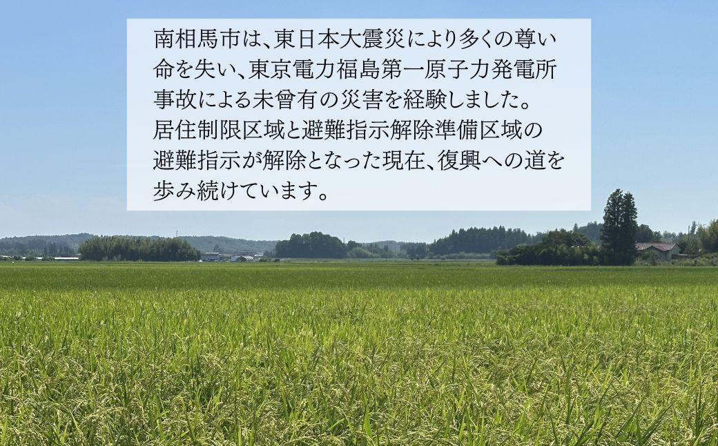 JAS有機米 コシヒカリ 白米 10kg ( 5kg ×2) 令和7年産 | JAS 有機米 精米 コメ 米 こめ ブランド米 銘柄 福島 福島県産 渡部有機農園