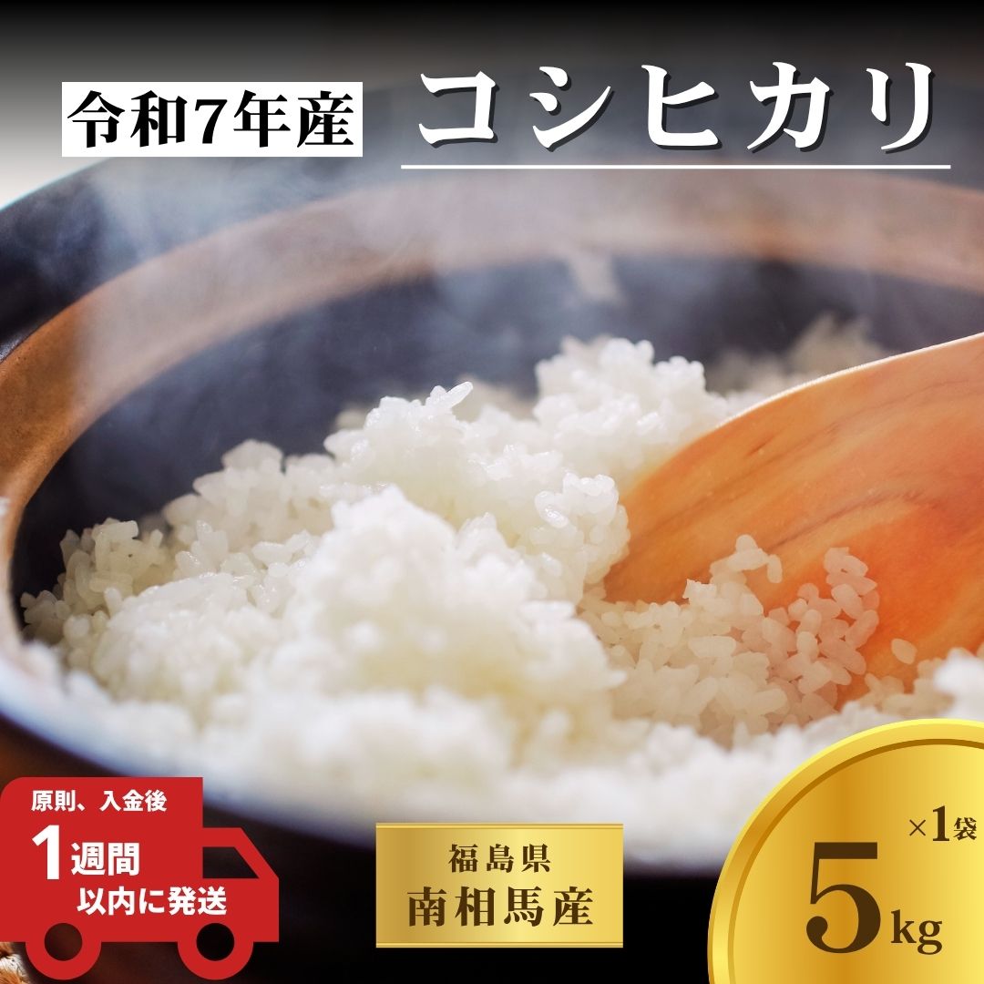 【コシヒカリ】 令和7年産 福島県産  白米 5kg × 1袋 | こしひかり 福島 福島産 精米 南相馬産 令和7年産米 星忠雄商店 星米店 福島産こしひかり 福島産コシヒカリ cv001-aa cv001-aa