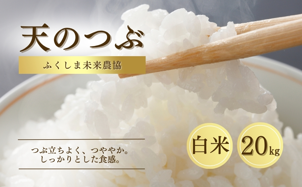 白米 20kg 天のつぶ 令和7年産 | 精米コメ ごはん ブランド米 大粒 福島 福島県産 南相馬 ふくしま未来農協 JA av001-ab