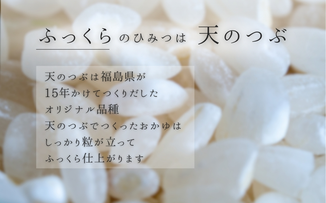 ふっくら白がゆ 無添加 国産100% 5kg(250g×20パック) | おかゆ 粥 お粥 レトルト 電子レンジ パック 天のつぶ  国産 防災 防災グッズ 備蓄 家庭備蓄 非常食 防災食 災害対策 ローリングストック 長期保存 米 精米 福島 南相馬 エイムカイワ