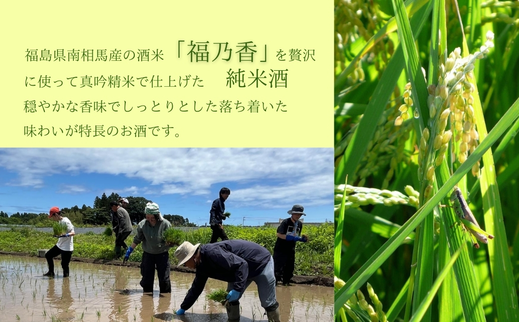 日本酒 soma 純米酒 720ml | お酒 さけ サケ 4合 四号 四号瓶 地酒 晩酌 おすすめ 大吟醸 国産 米 プレゼント お歳暮 誕生日 贈答 お中元 ギフト 蔵元 福島県 南相馬市 豊田農園 アグリロード【3300802】