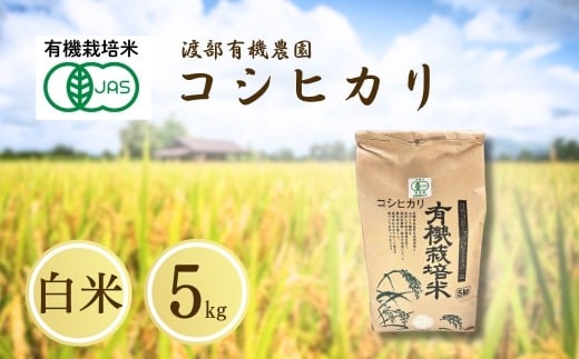 JAS譛画ゥ溽アウ 繧ウ繧キ繝偵き繝ェ 逋ス邀ウ 5kg 莉、蜥7蟷エ逕」 | JAS 譛画ゥ溽アウ 邊セ邀ウ 繧ウ繝。 邀ウ 縺薙a 繝悶Λ繝ウ繝臥アウ 驫俶氛 遖丞ウカ 遖丞ウカ逵檎肇 貂。驛ィ譛画ゥ溯セイ蝨
