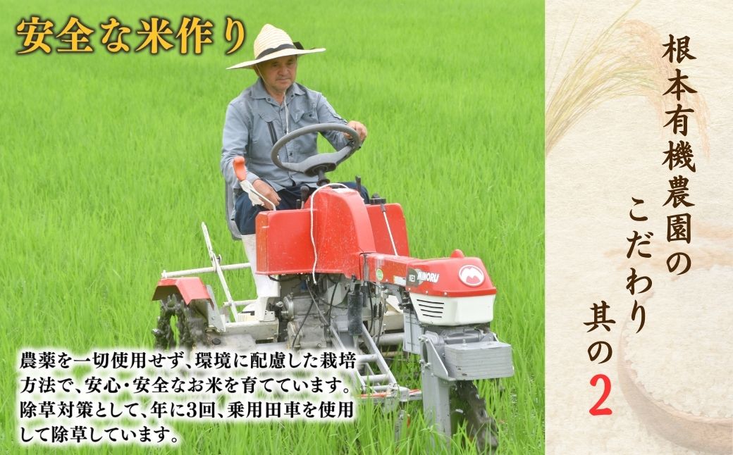 【毎月定期便】 JAS有機米 天のつぶ 玄米 15kg (5kg×3回) 令和7年産 | 3か月定期便 JAS 有機米 米 コメ ブランド米 低温貯蔵庫 福島県産 根本有機農園 【53870-002-15】