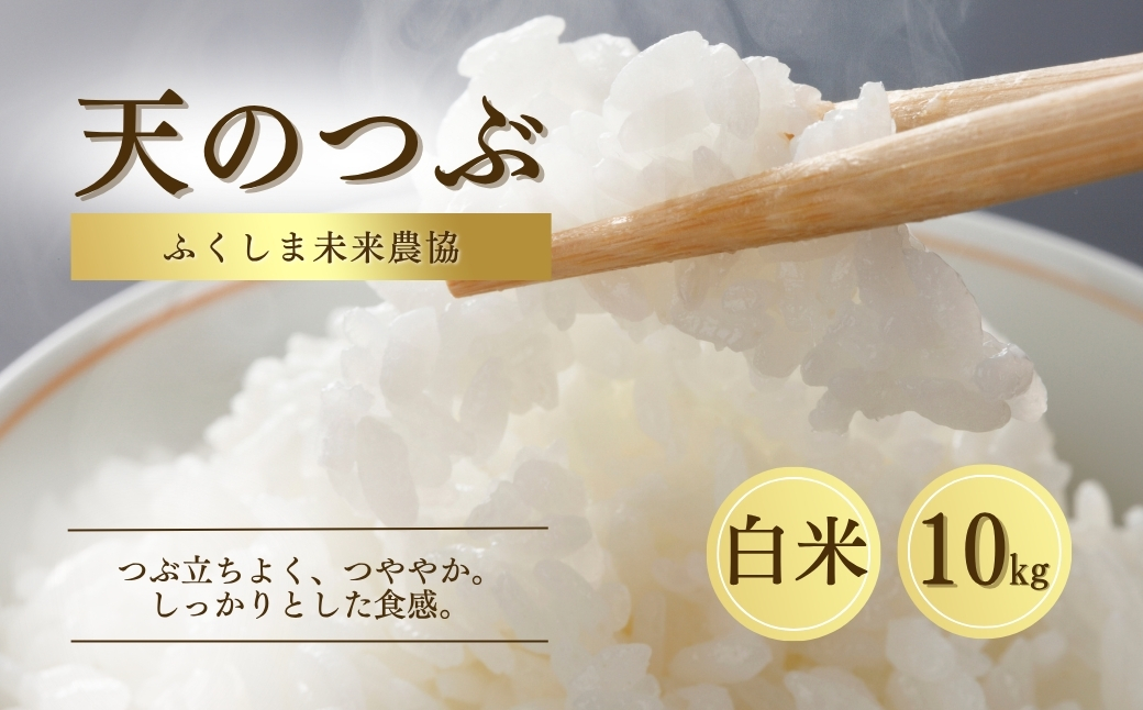 白米 10kg 天のつぶ 令和7年産 | 精米コメ ごはん ブランド米 大粒 福島 福島県産 南相馬 ふくしま未来農協 JA av001-aa