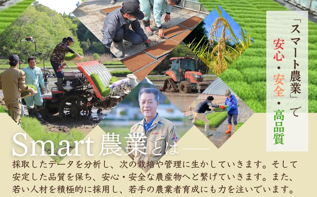 天のつぶ「新世代」 白米 10kg | 令和7年産 2025年産 米10kg 精米 米10キロ ごはん 福島県産 南相馬 福島 紅梅夢ファーム
