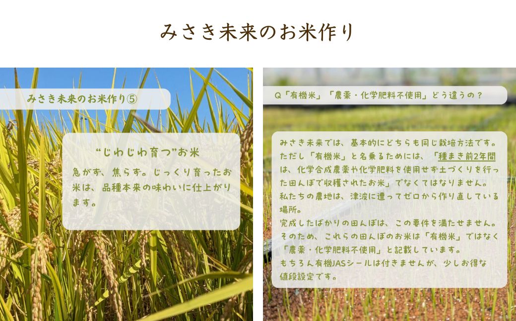 【3か月定期便】玄米おまかせ3品種 令和7年産 新米 15kg (5kg×3回) コシヒカリ・天のつぶ・つきあかり | 無農薬 農薬不使用 化学肥料不使用 玄米 お米 米 こめ コメ 福島産 福島県産 南相馬 みさき未来【121237-015-01】