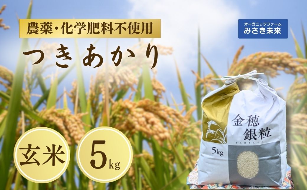 令和7年産 新米 つきあかり 玄米 5kg | 無農薬 農薬不使用 化学肥料不使用 玄米 お米 米 こめ コメ 福島産 福島県産 南相馬 みさき未来[121237-006-03]