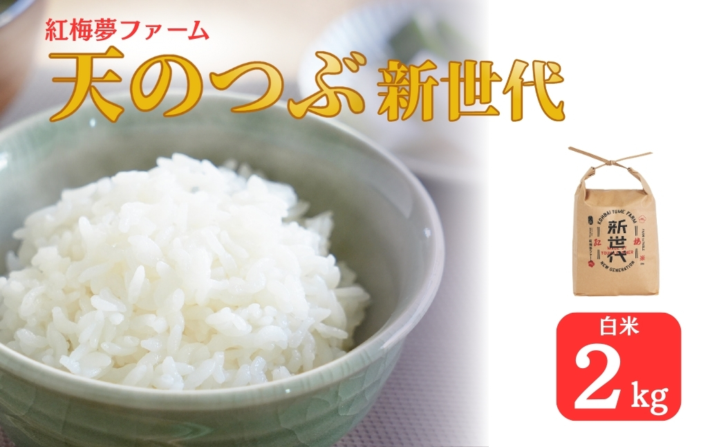 天のつぶ「新世代」 白米 2kg | 令和7年産 2025年産 米2kg 精米 米2キロ ごはん 福島県産 南相馬 福島 紅梅夢ファーム 【53844-001-01】