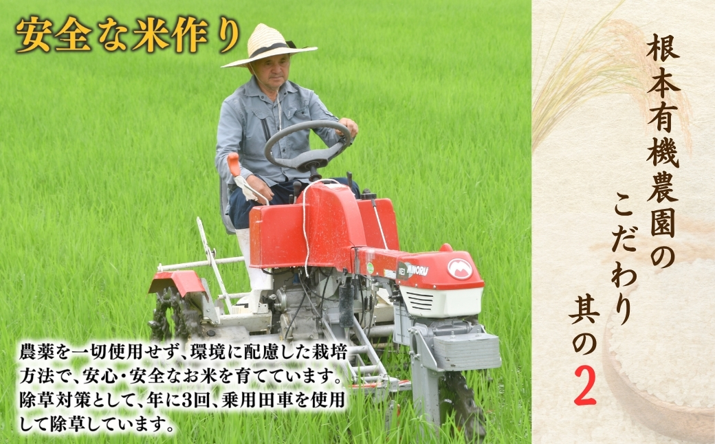 JAS譛画ゥ溽アウ 螟ゥ縺ョ縺、縺カ 逋ス邀ウ 10kg 莉、蜥7蟷エ逕」 | 邊セ邀ウ JAS 譛画ゥ溽アウ 繧ウ繝。 繝悶Λ繝ウ繝臥アウ 菴取クゥ雋ッ阡オ蠎ォ 遖丞ウカ逵檎肇 譬ケ譛ャ譛画ゥ溯セイ蝨偵53870-002-03縲