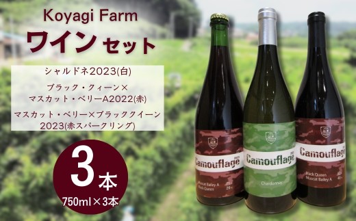 【ワイン】 3本セット シャルドネ2023 (白) ＋ ブラッククイーン×マスカット・ベリーA2022 ＋ マスカット・ベリー×ブラッククイーン2023(赤スパークリング) | 赤ワイン 白ワイン 国産【110076-002-08】