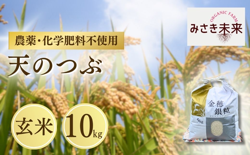 【先行予約】天のつぶ 玄米 10kg 令和8年産 | 無農薬 農薬不使用 化学肥料不使用 精米 お米 米 こめ コメ 福島産 福島県産 南相馬 みさき未来 天のつぶ co025-ab