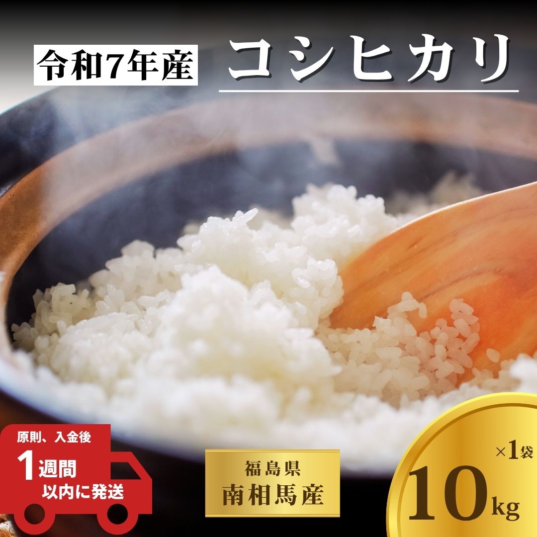 【コシヒカリ】 令和7年産 福島県産  白米 10kg × 1袋 | こしひかり 福島 福島産 精米 南相馬産 令和7年産米 星忠雄商店 星米店 福島産こしひかり 福島産コシヒカリ cv001-ab cv001-ab