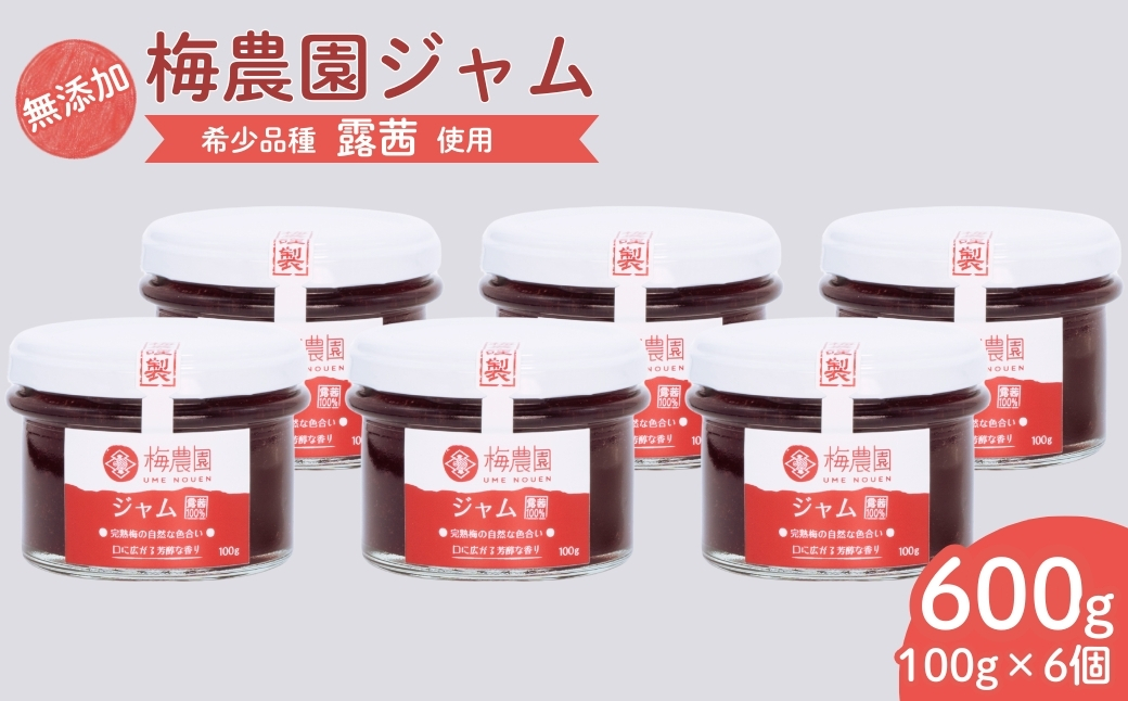 梅農園ジャム 600g (100g×6個)【120587-001-02】