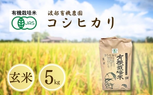 JAS有機米 コシヒカリ 玄米 5kg 令和7年産 | JAS 有機米 コメ 米 こめ ブランド米 銘柄 福島 福島県産 渡部有機農園