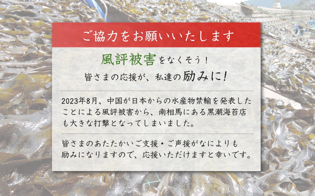 訳あり 焼きのり 45枚 全形 15枚×3パック ｜ 寿司はね 小分け 訳アリ 家庭用 海苔 焼海苔 焼き海苔 国産 魚介 海鮮 海藻 加工品 乾物 おにぎり 朝食 弁当 おかず 寿司 ご飯のお供 訳アリ キズのり 福島 南相馬【0105301】