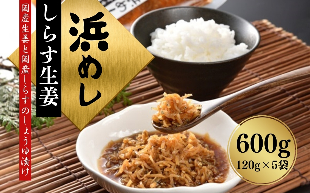 浜めししらす生姜 600g(120g×5袋) | 漬物 詰め合わせ ギフト 贈り物 贈答品 おつまみ おかず 香の蔵