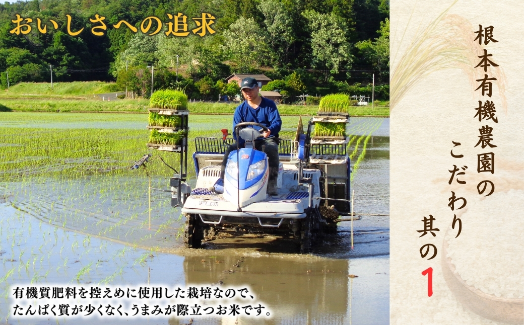 JAS有機米 天のつぶ 白米 5kg 令和7年産 | 精米 JAS 有機米 コメ ブランド米 低温貯蔵庫 福島県産 根本有機農園【53870-002-02】
