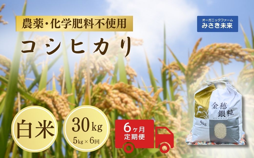 【定期便】令和7年産 新米 コシヒカリ 白米 30kg ( 5kg ×6回) | 無農薬 農薬不使用 化学肥料不使用 精米 お米 米 こめ コメ 福島産 福島県産 南相馬 みさき未来