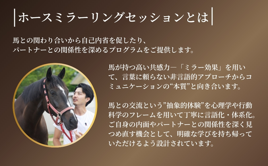ホースミラーリングセッション 1名様 ｜ 乗馬 馬とのふれあい 研修 自己研鑽 自己内省 チームビルディング【148563-001】