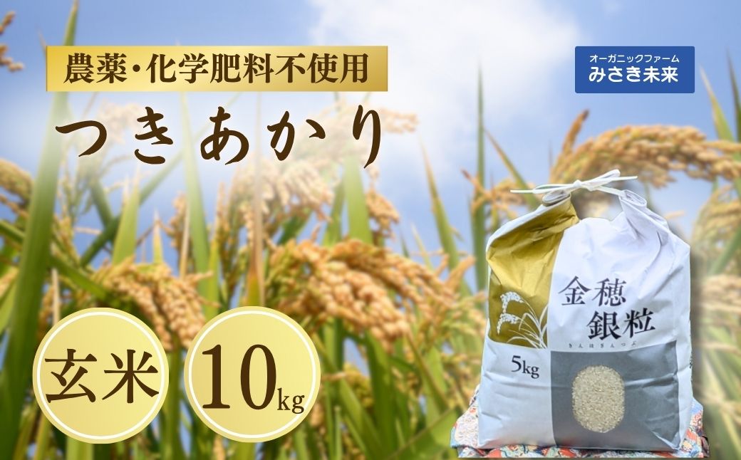 令和7年産 新米 つきあかり 玄米 10kg  | 無農薬 農薬不使用 化学肥料不使用 玄米 お米 米 こめ コメ 福島産 福島県産 南相馬 みさき未来【121237-006-04】