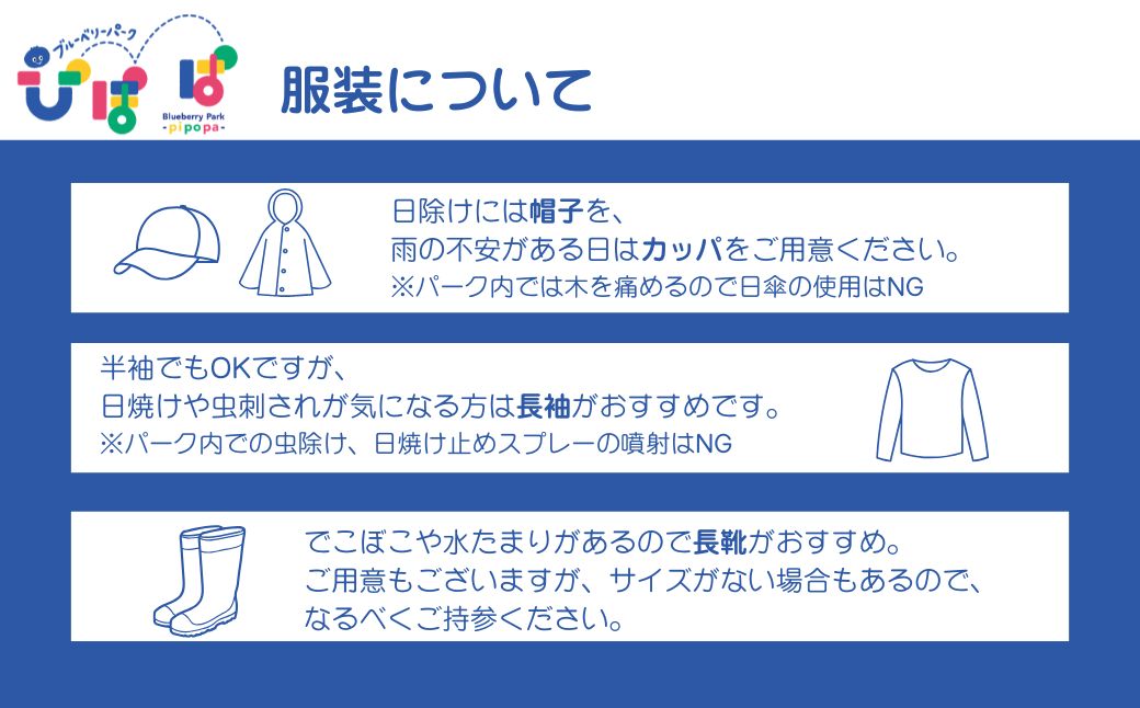 ãã«ãŒããªãŒããŒã¯ ãŽãœã± ãã¢ãã±ãã ãã«ãŒããªãŒç©ã 2å äœéš å
¥ååž ç¡æåž å€å£éå® co001-aa