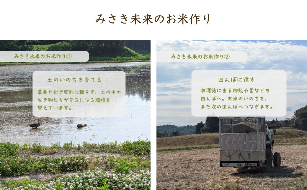 【3か月定期便】玄米おまかせ3品種 令和7年産 新米 15kg (5kg×3回) コシヒカリ・天のつぶ・つきあかり | 無農薬 農薬不使用 化学肥料不使用 玄米 お米 米 こめ コメ 福島産 福島県産 南相馬 みさき未来【121237-015-01】