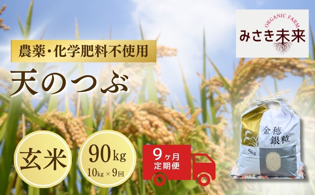 【先行予約】【9か月定期便】天のつぶ 玄米 90kg (10kg×9回) 令和8年産 | 無農薬 農薬不使用 化学肥料不使用 精米 お米 米 こめ コメ 福島産 福島県産 南相馬 みさき未来 天のつぶ co025-aj