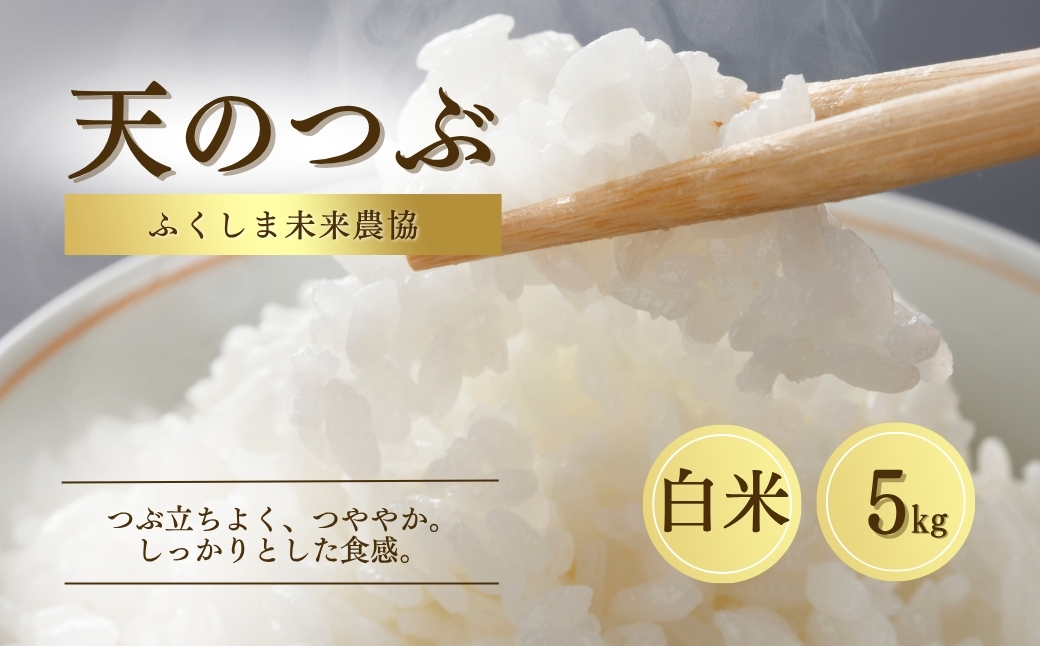 白米 5kg 天のつぶ 令和7年産 | 精米コメ ごはん ブランド米 大粒 福島 福島県産 南相馬 ふくしま未来農協 JA 【2200101】