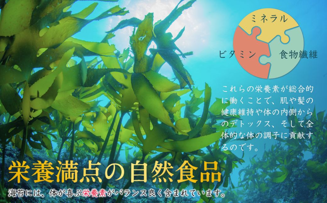 しじみのり 576枚 96袋(8袋×12個)｜味付け海苔 大容量味付のり お得味付けのり