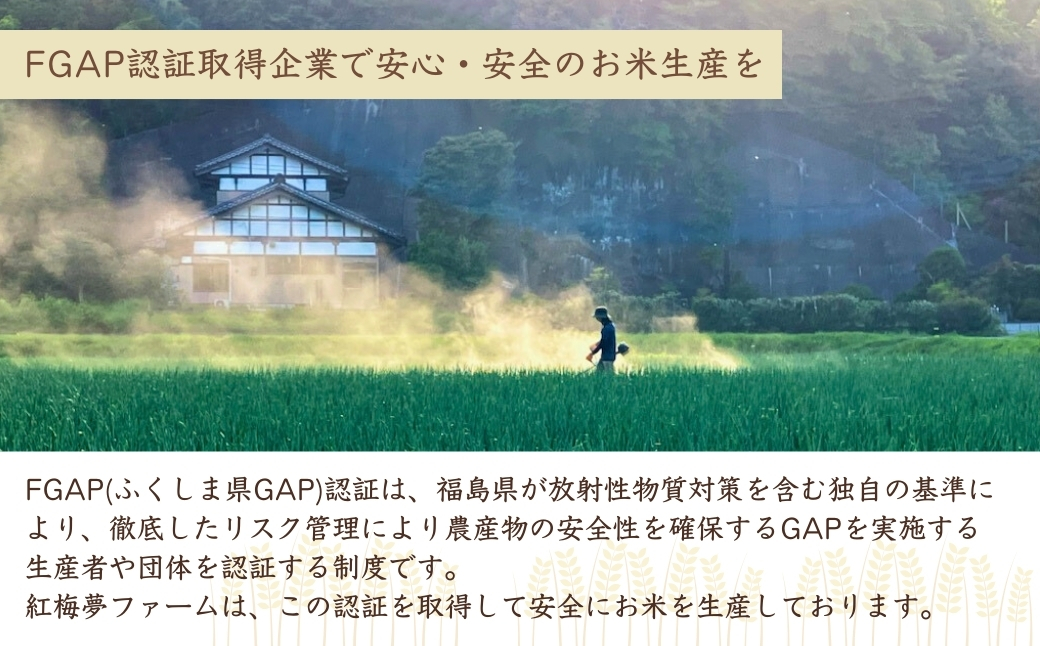 福島県南相馬産「天のつぶ」ふっくらパックごはん150g×24パックライス【0400301】