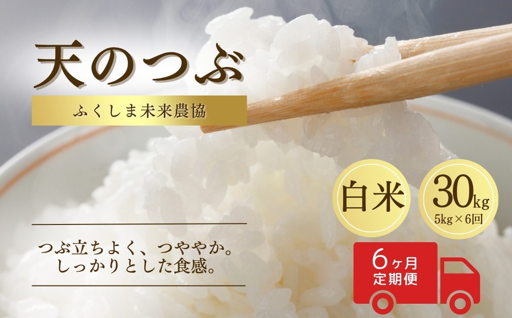 【定期便】 天のつぶ 白米 30kg( 5kg ×6回) 令和7年産 | 精米コメ ごはん ブランド米 大粒 福島 福島県産 南相馬 ふくしま未来農協 JA av001-ad