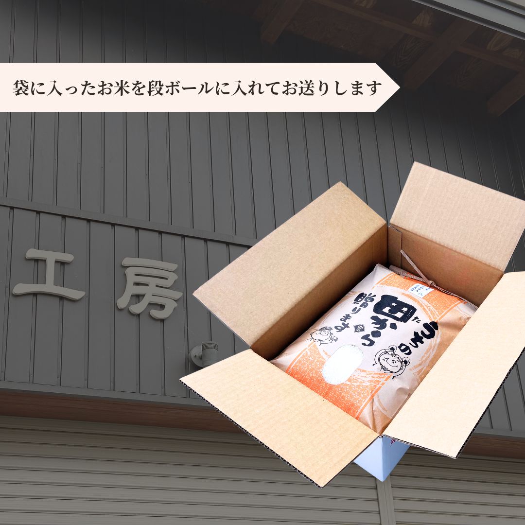 【コシヒカリ】 令和7年産 福島県産  白米 10kg × 1袋 | こしひかり 福島 福島産 精米 南相馬産 令和7年産米 星忠雄商店 星米店 福島産こしひかり 福島産コシヒカリ cv001-ab cv001-ab